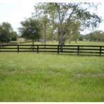 Rear Horse Pasture